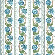 Clemont (NCF4485-01)